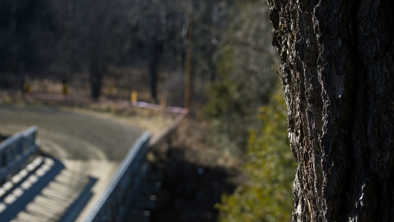 Illustration for article titled CRC 2015 Rally of the Tall Pines Photodump